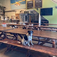 Cairn Brewing in Kenmore, Washington - 4.80 star rating