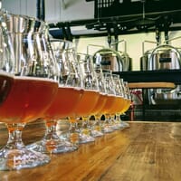 Northspur Brewing Co. in Willits, California - 4.70 star rating