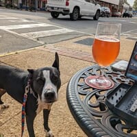 The Vault by Hatchet Brewing Company in Selma, North Carolina - 4.90 star rating
