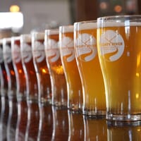 Mighty River Brewing Company in Windsor, Colorado - 4.70 star rating