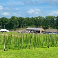 Hops on the Hill Brewery in Glastonbury, Connecticut - 4.30 star rating