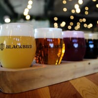 Blackbird Brewery in Wake Forest, North Carolina - 4.90 star rating