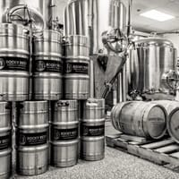 Rocky Reef Brewing Company in Woodruff, Wisconsin - 4.80 star rating