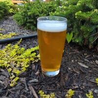 Aslin Beer Company in Washington, District of Columbia - 4.40 star rating