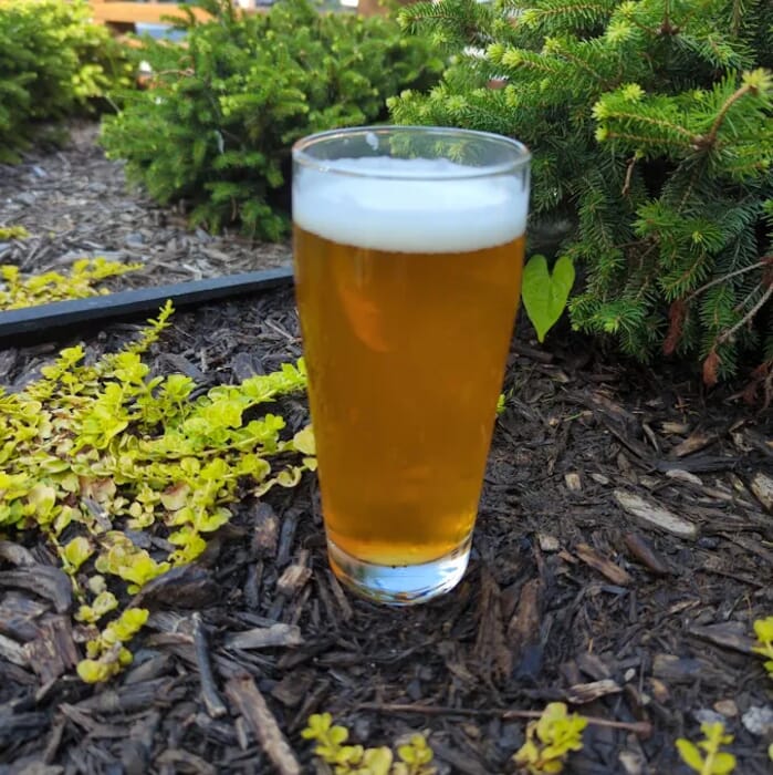Aslin Beer Company
