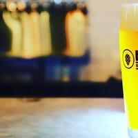 NOBO Brewing Company in Boynton Beach, Florida - 4.70 star rating