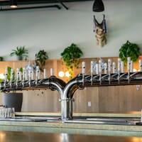 Wren Südhalle in Phoenix, Arizona - 4.60 star rating
