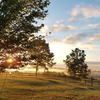 Mountain Valley Brewing in Axton, Virginia - 4.80 star rating