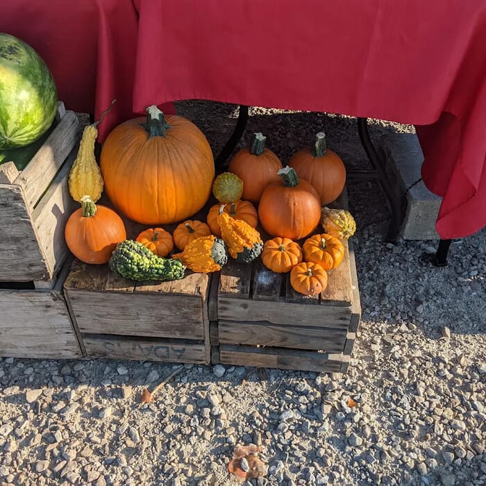 Amherstburg Farmers Market at GL Heritage Brewery (May-Oct)