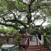Motorworks Brewing in Bradenton, Florida - 4.40 star rating
