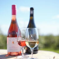 Coteau Rougemont - Vignoble & Cidrerie in Rouville Regional County Municipality, Québec - 4.70 star rating