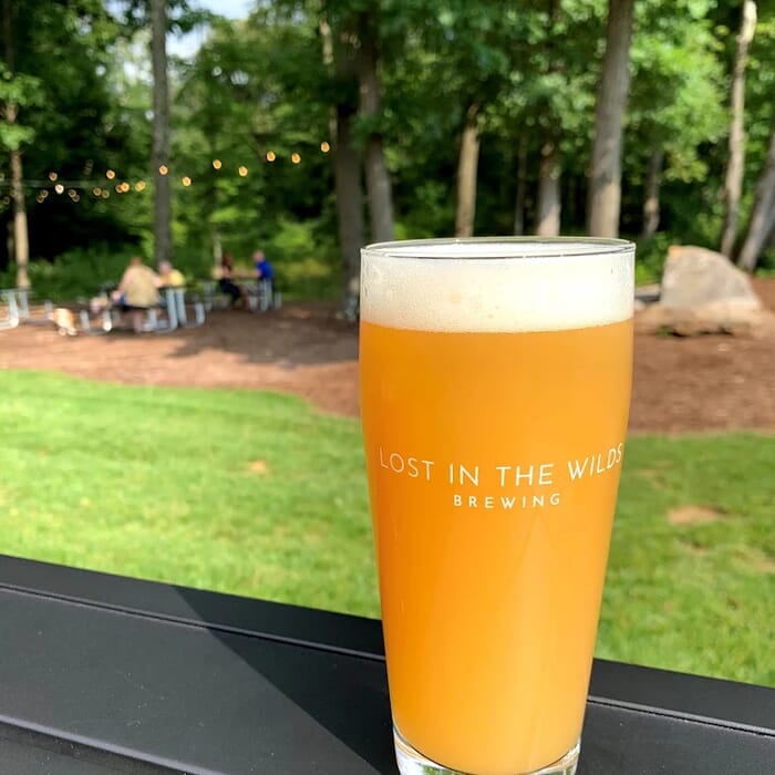 Lost In The Wilds Brewing