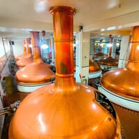 Coors Brewery Tour in Golden, Colorado - 4.10 star rating