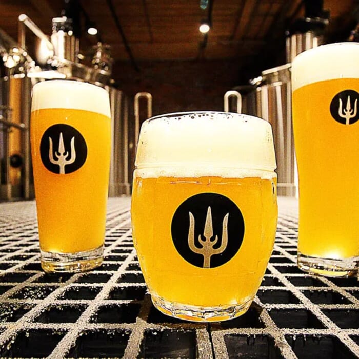 Wayfinder Beer
