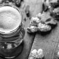 Agile Brewing in Baton Rouge, Louisiana - 4.80 star rating