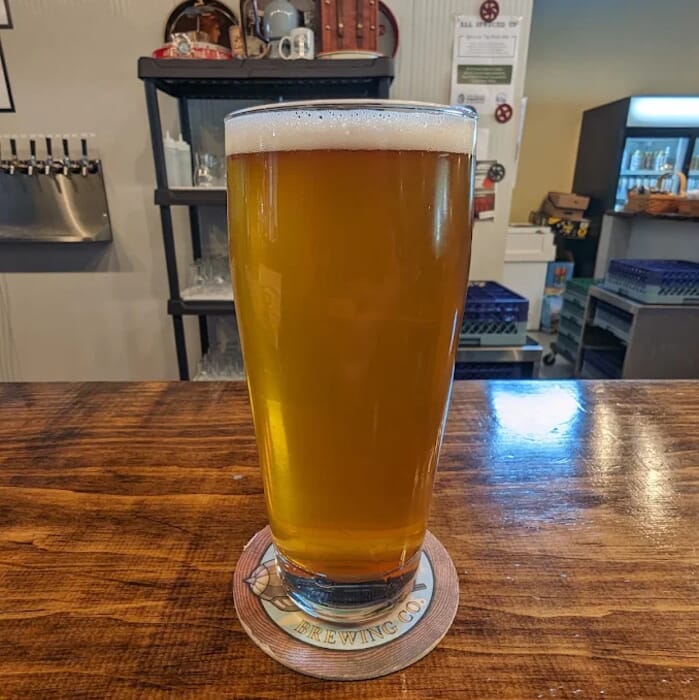 Dirigible Brewing Company