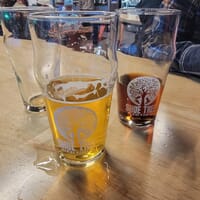 Shoe Tree Brewing Co. - Minden in Minden, Nevada - 4.80 star rating