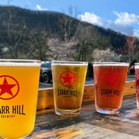 Starr Hill Pilot Brewery & Side Stage in Roanoke, Virginia - 4.80 star rating