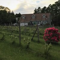 Tanner & Co. Brewing in Chester Basin, Nova Scotia - 4.70 star rating
