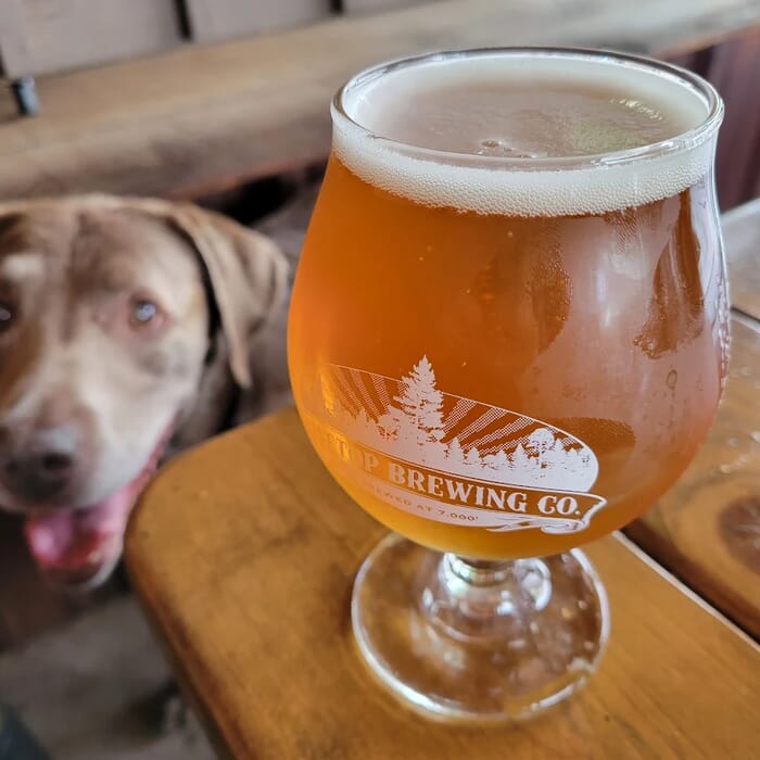 Pinetop Brewing Company