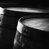 Lochiel Brewing in Mesa, Arizona - 4.90 star rating
