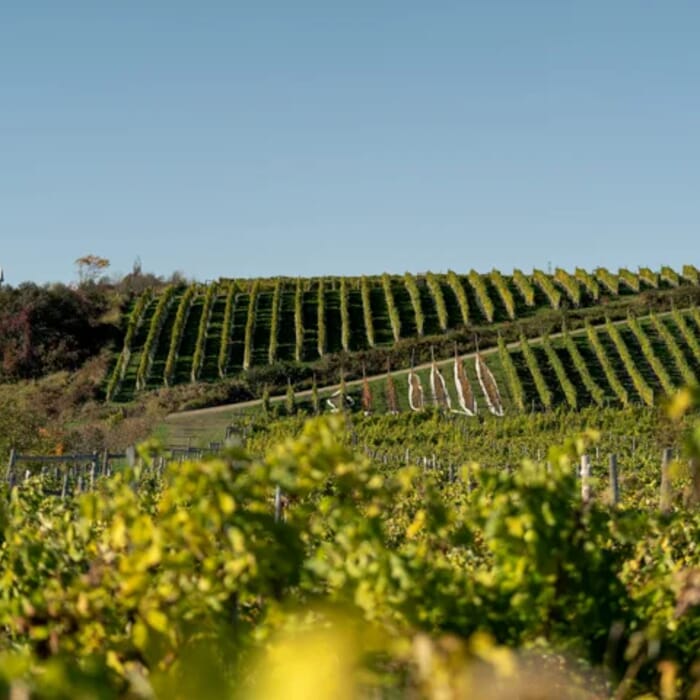 Domaine L'Ange Gardien - Winery & Cidery