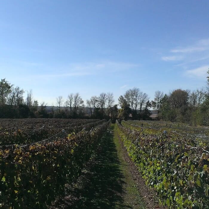 Camy - Winery & Cidery