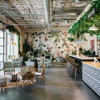 Kilter Brewing Co. in Winnipeg, Manitoba - 4.80 star rating