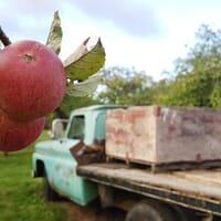 Merridale Cidery & Distillery in Cobble Hill, British Columbia - 4.40 star rating