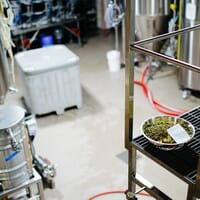 Tête d'Allumette - Microbrasserie in Saint-André-de-Kamouraska, Québec - 4.70 star rating