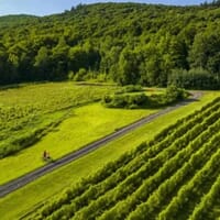 Coteau Saint-Paul - Winery / Orchard / Cidery in Rouville, Québec - 4.80 star rating