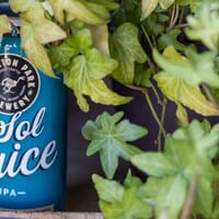 Skeleton Park Brewery in Kingston, Ontario - 4.80 star rating