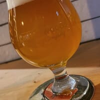 Lake of the Woods Brewing Company Winnipeg in Winnipeg, Manitoba - 4.70 star rating