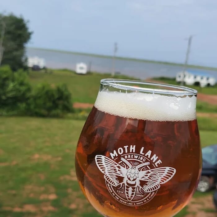 Moth Lane Brewing