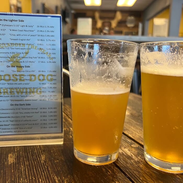 Moose Dog Brewing