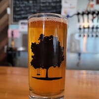 Contentment Brewing Company in Modesto, California - 4.80 star rating