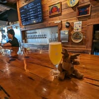 Dunloe Brewing - The Local in Davis, California - 4.70 star rating
