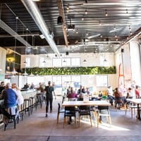 Wild State Cider in Duluth, Minnesota - 4.90 star rating