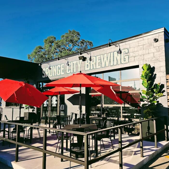 Sponge City Brewing
