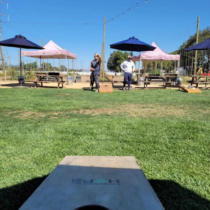 Homegrown Hops Brewing