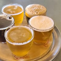 Danelion Brewery in Melba, Idaho - 4.80 star rating