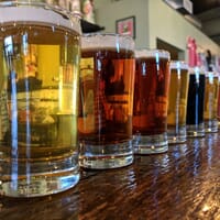 Seedstock Brewery in Denver, Colorado - 4.90 star rating