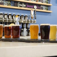 Southern Girl Brewery in Fort Collins, Colorado - 4.50 star rating