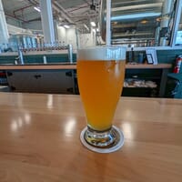 Wulfaven Brewing Company in Tampa, Florida - 4.80 star rating