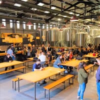 Barebottle Brewing Company in SF, California - 4.60 star rating