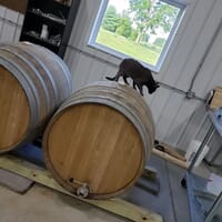 Harry Stuff Brewing company in Wawaka, Indiana - 4.80 star rating