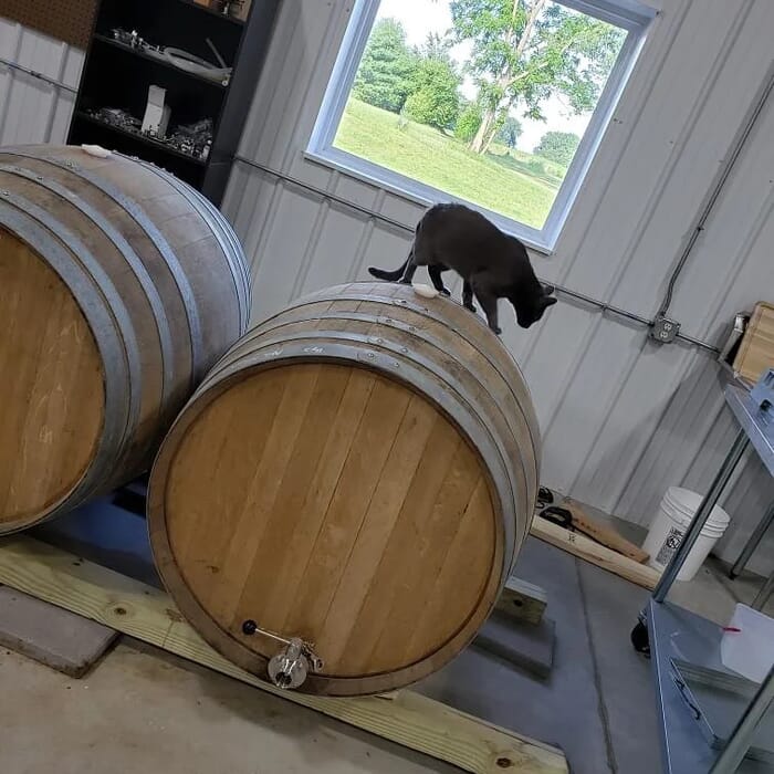 Harry Stuff Brewing company
