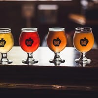 Black Apple Hard Cider in Springdale, Arkansas - 4.80 star rating