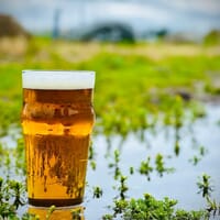 Brewscape Beer Company in Hayden, Idaho - 4.90 star rating