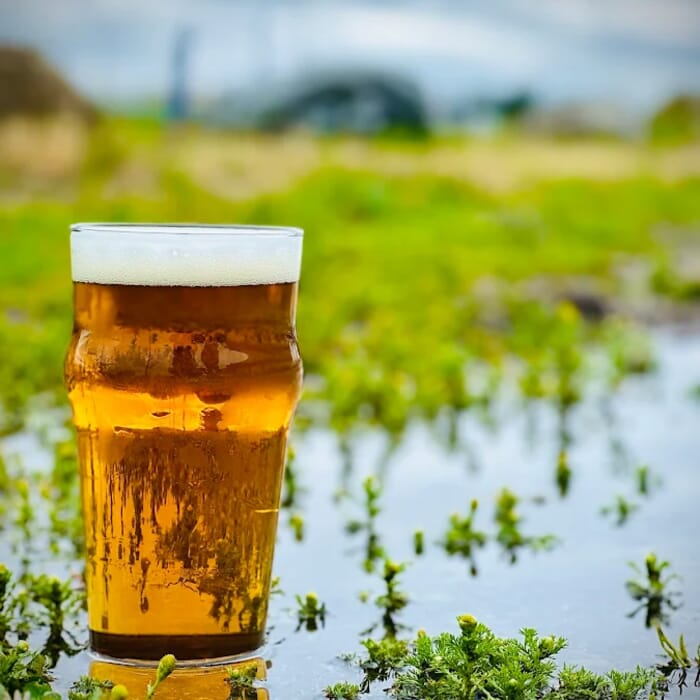 Brewscape Beer Company